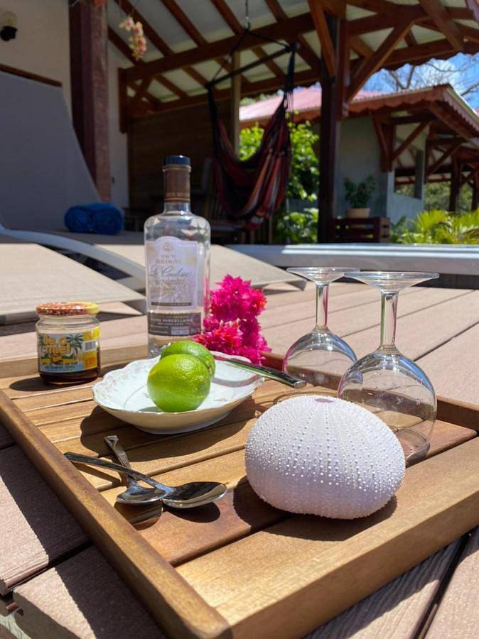Maison de vacances pour 4 personnes, avec jardin et vue, animaux acceptés