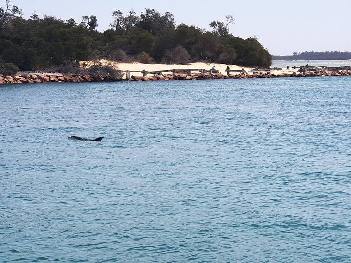 Holiday rental for 2 people, with balcony in Metung