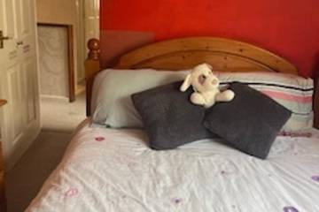 Holiday Rental for 6 People in Cirencester, The Cotswolds, Photo 4