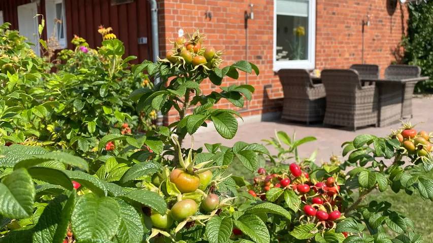 Ferienhaus für 4 Personen, mit Garten in Staberdorf - 2