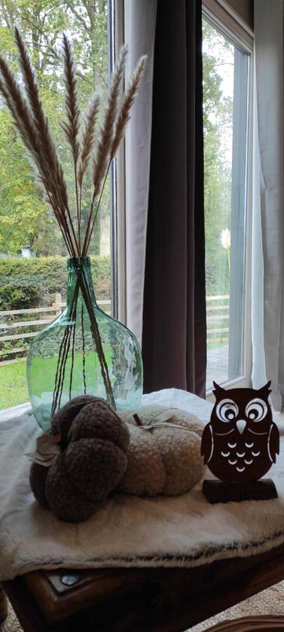 Location de vacances pour 2 personnes, avec jardin à Rendeux - 2