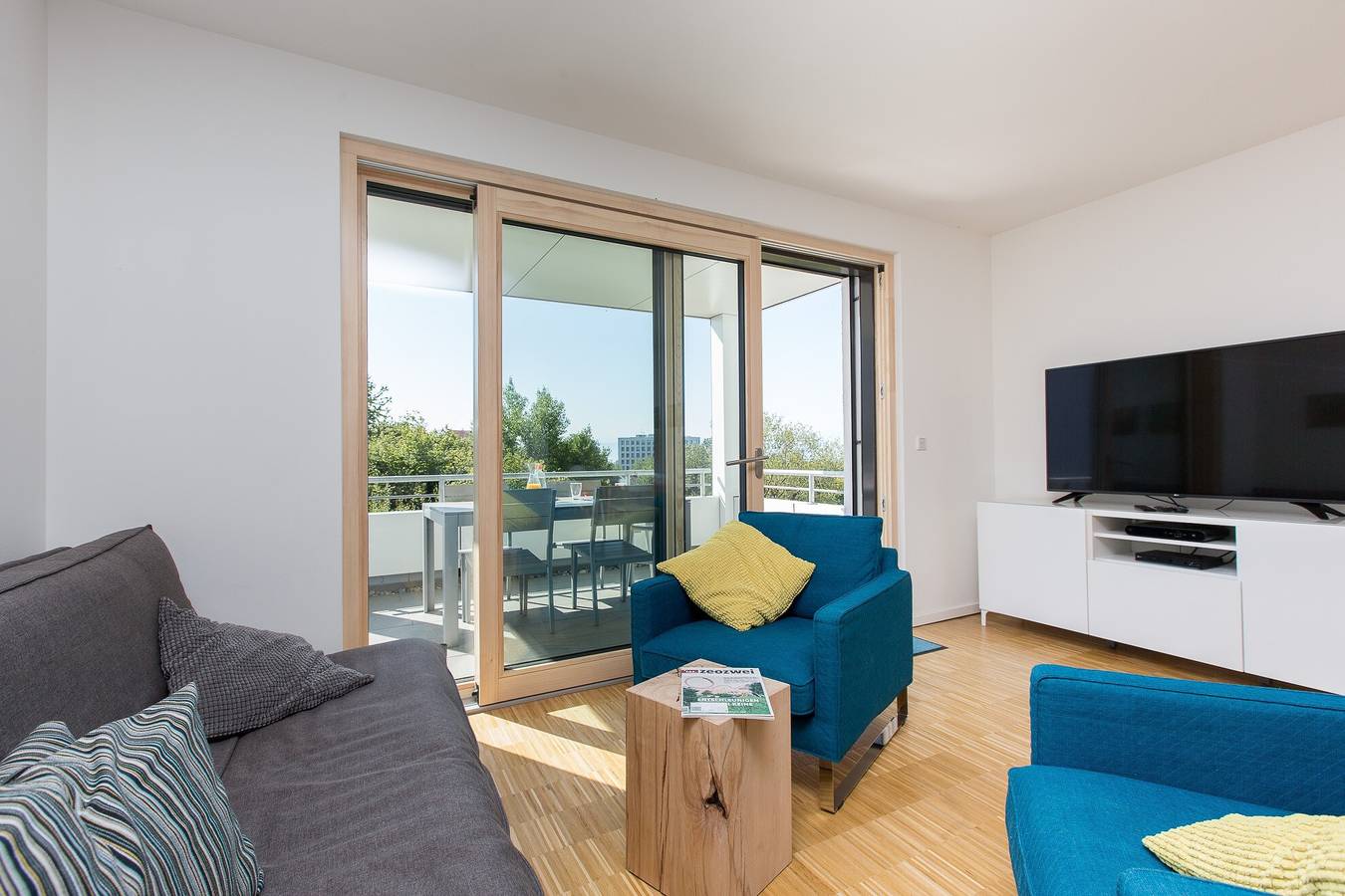 Ganze Wohnung, Ferienwohnung 'Busch' mit Seeblick, Balkon und Wi-Fi in Friedrichshafen, Region Bodensee-Oberschwaben