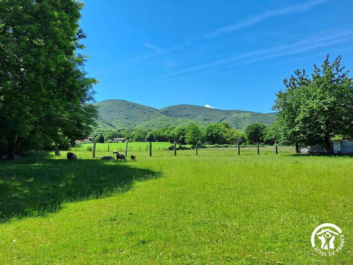Gîte pour 3 personnes, avec jardin ainsi que piscine et terrasse dans Parc naturel régional du Haut-Languedoc - 3