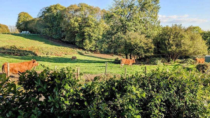 Gîte pour 6 personnes, avec piscine et jardin à Dournazac - 2