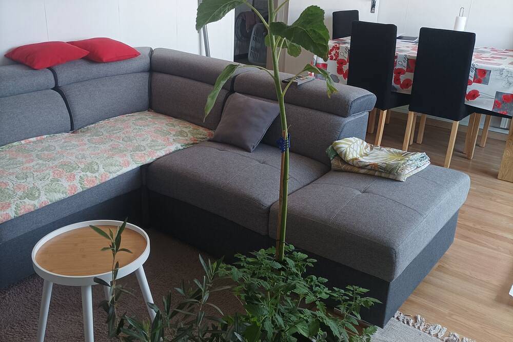 Appartement entier, Appartement spacieux et équipé à 5 minutes du centre et du château de Compiègne in Compiègne, Oise