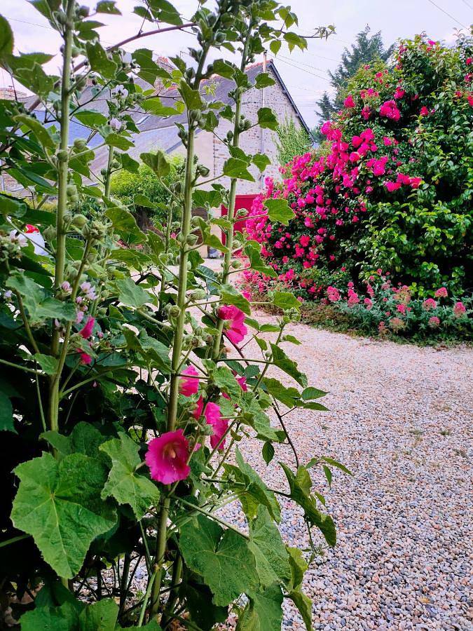 Chambre d’hôte pour 2 personnes, avec jardin et vue à Lanvallay - 2