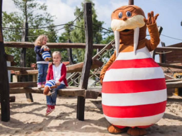 Ferienpark für 4 Personen, mit Pool und Terrasse, kinderfreundlich in Sachsen - 3