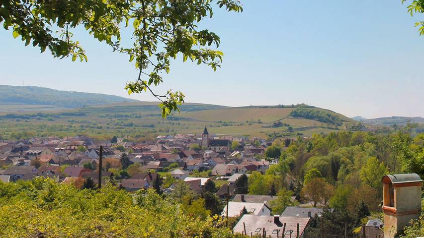 Ferienwohnung für 4 Personen, mit Balkon in Sasbach am Kaiserstuhl