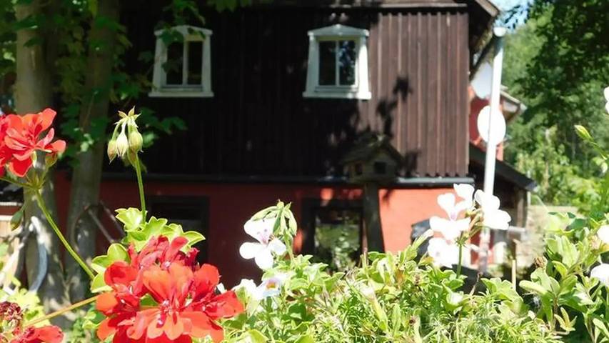 Ferienwohnung für 4 Personen in Bad Gottleuba-Berggießhübel