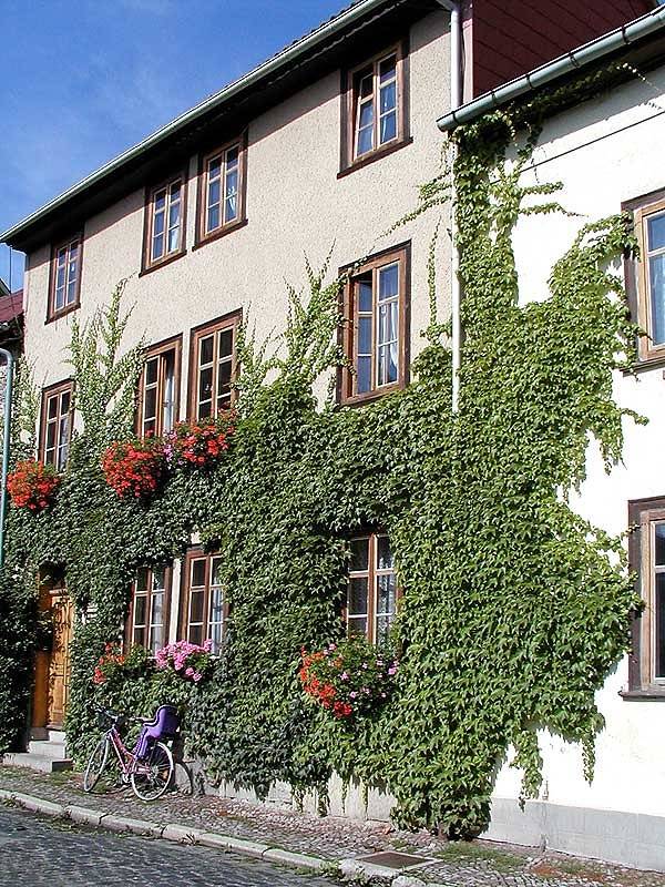 Ganze Ferienwohnung, Appartement - Ferienwohnung Specht - Ferienwohnung mit 1 Schlafz.,1 Wohnz. inkl. kleiner Küchenzeile,Du/Wc, 2 P.,45m² in Arnstadt, Thüringer Kernland