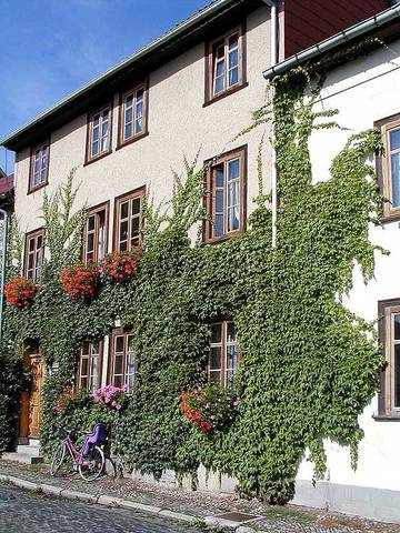 Ferienwohnung für 2 Personen in Arnstadt, Ilm und Umgebung, Bild 3