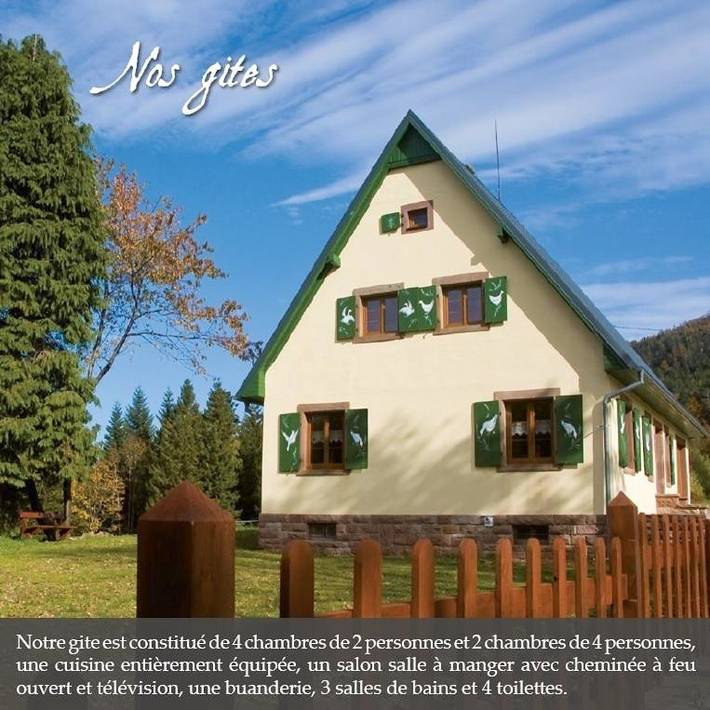 Location de vacances pour 16 personnes, avec sauna, animaux acceptés à Grandfontaine (Bas-Rhin)