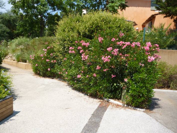 Appartement entier, Les Restanques Golfe Saint Tropez in Grimaud, Côte méditerranéenne (France)