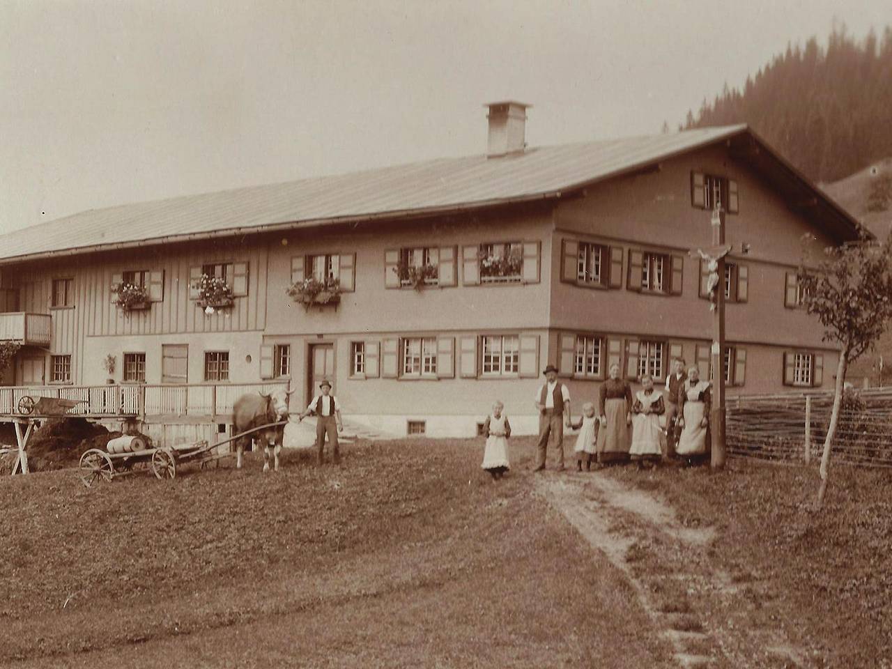 Ganze Ferienwohnung, Ü. Nn. 1.039 in Immenstadt, Bayerisch Schwaben