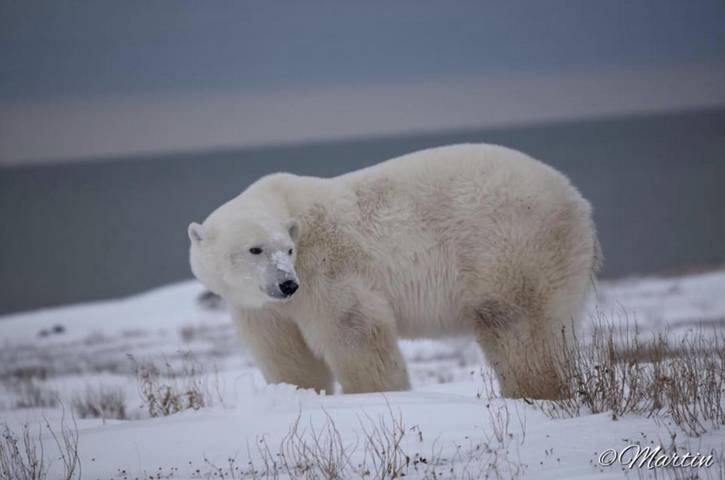 Gîte pour 2 personnes à Winston Churchill - 3
