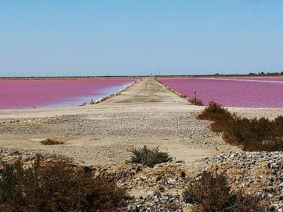 Location de vacances pour 6 personnes, avec terrasse dans Salin-de-Giraud - 4