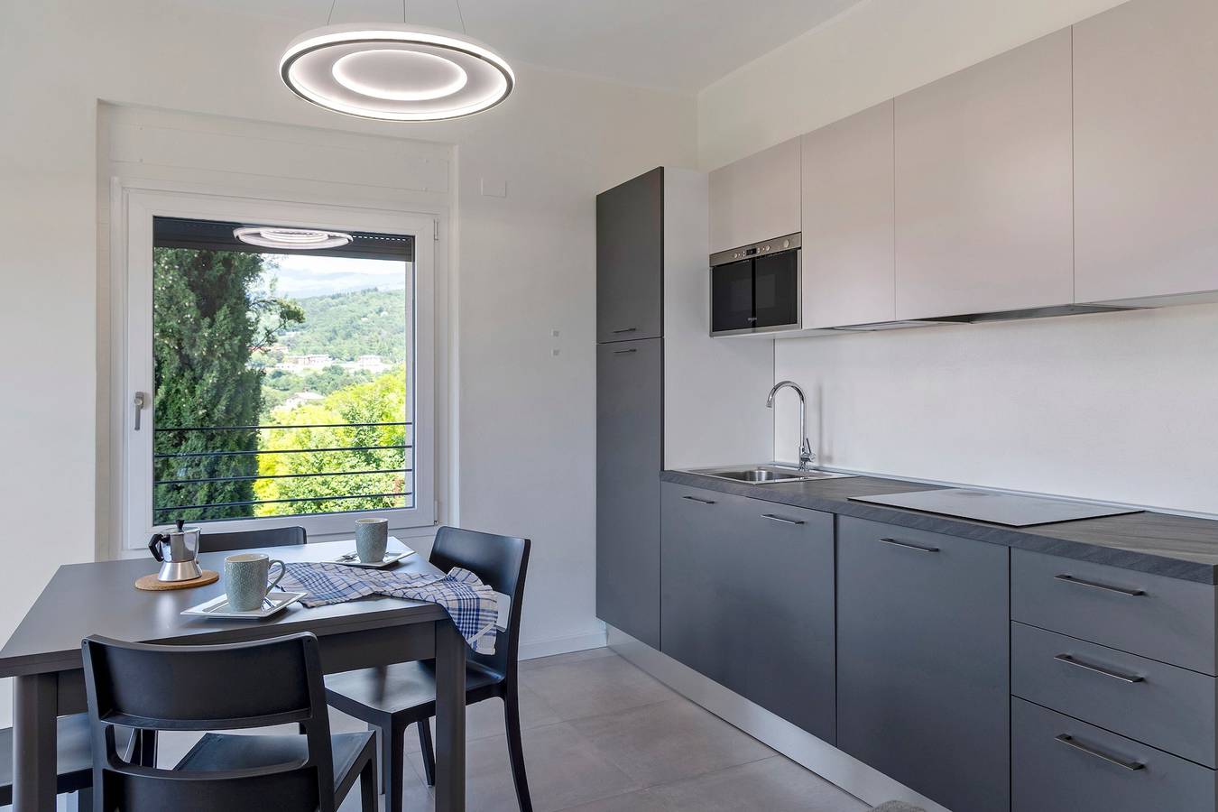 Ganze Wohnung, Apartment „Giulio's Piano Terra“ mit Seeblick in San Zeno di Montagna, Gardasee-Berge