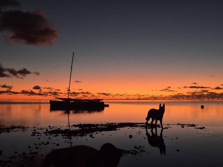 Maison d’hôte pour 2 personnes, avec piscine ainsi que jardin et vue dans Ha'apiti - 3