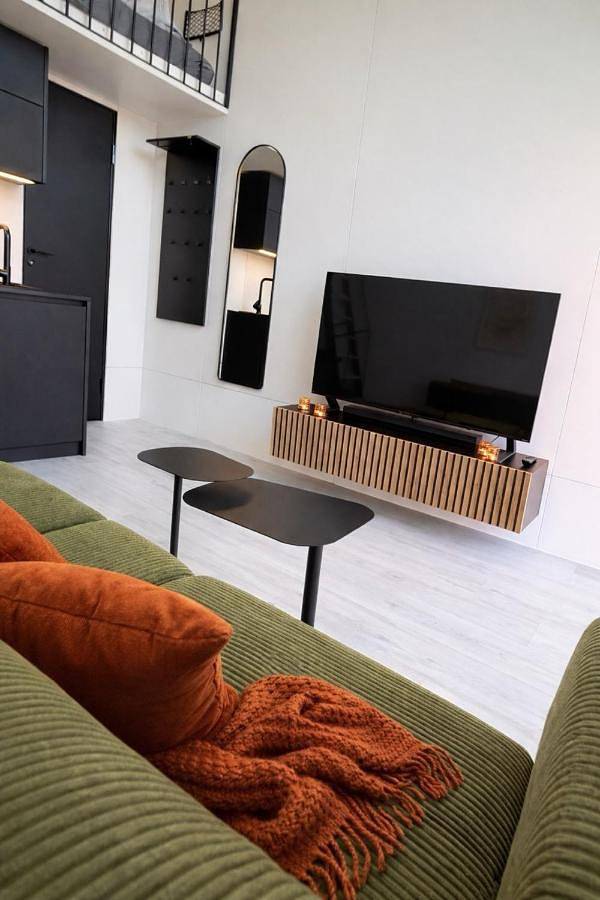 Ferienhaus für 4 Personen, mit Garten und Sauna sowie Whirlpool in Bourtanger Moor - 4