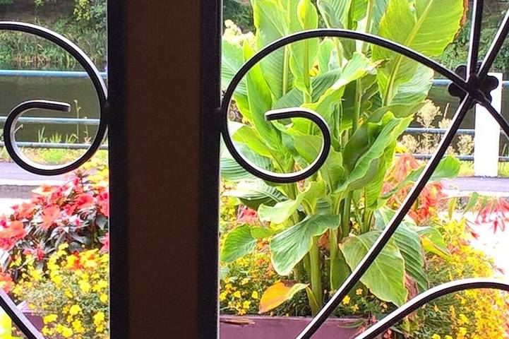 Location de vacances pour 2 personnes, avec terrasse et jardin à Bieuzy - 4