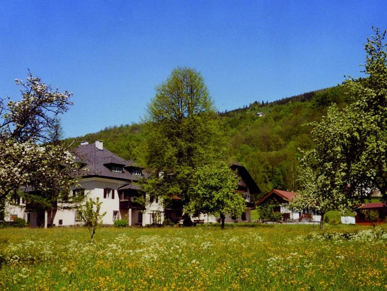 Landhaus Meingast - Doppelzimmer ohne Balkon 2 in Mondsee (Stadt), Mondsee & Irrsee
