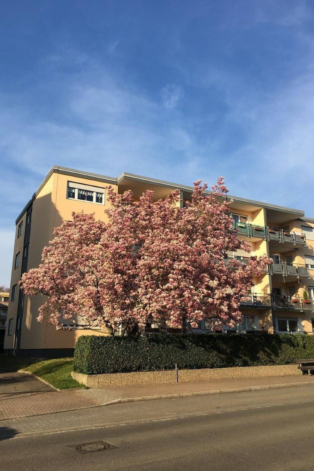 Ganze Wohnung, Stadtferienwohnung in Müllheim, Südschwarzwald