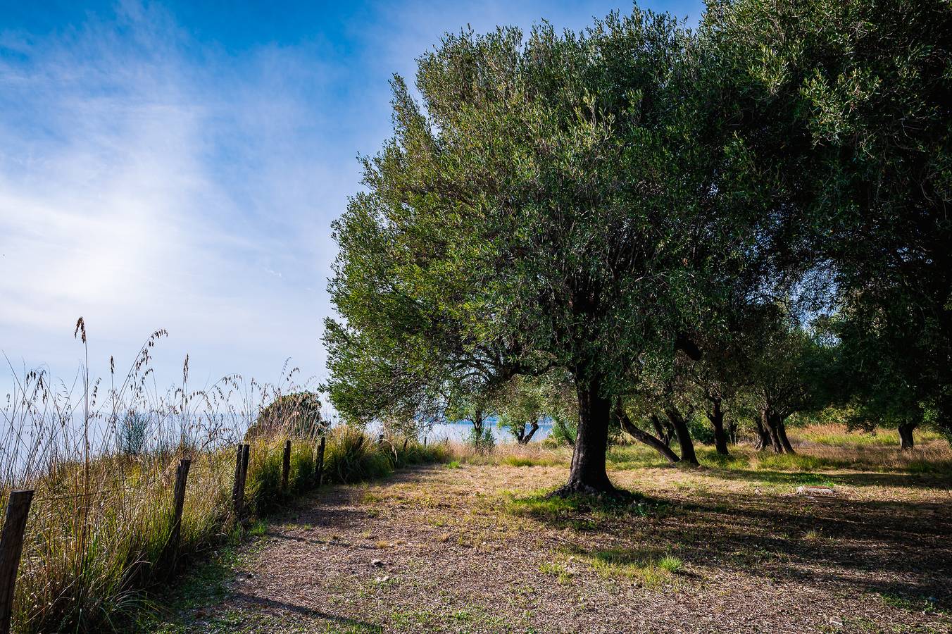 Casa vacanza per 6 persone con panorama in Pisciotta, Cilento Coast