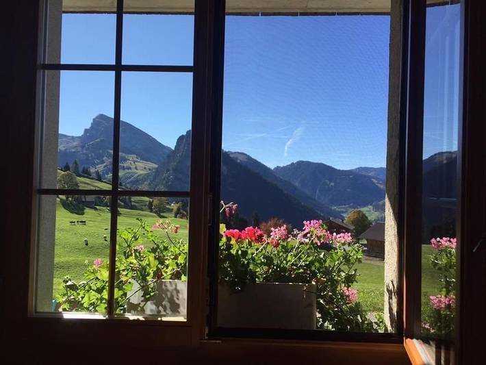 Ferienwohnung für 4 Personen, mit Garten und Terrasse im Berner Oberland - 4