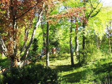 Ferienpark für 4 Personen in Drei Kaiserbäder, Heringsdorf, Bild 3
