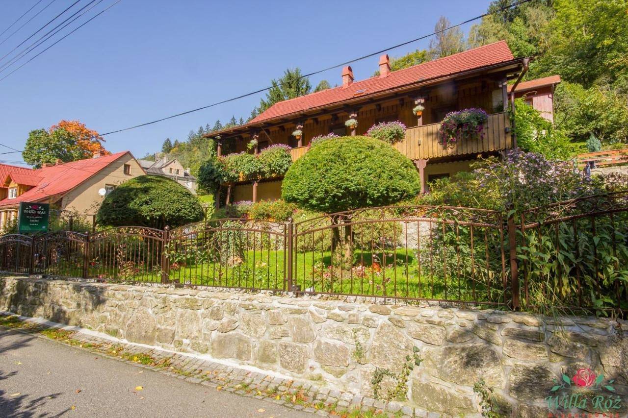Cały apartament wypoczynkowy, Willa Róż w Międzygórzu in Międzygórze, Sudety (Polska)