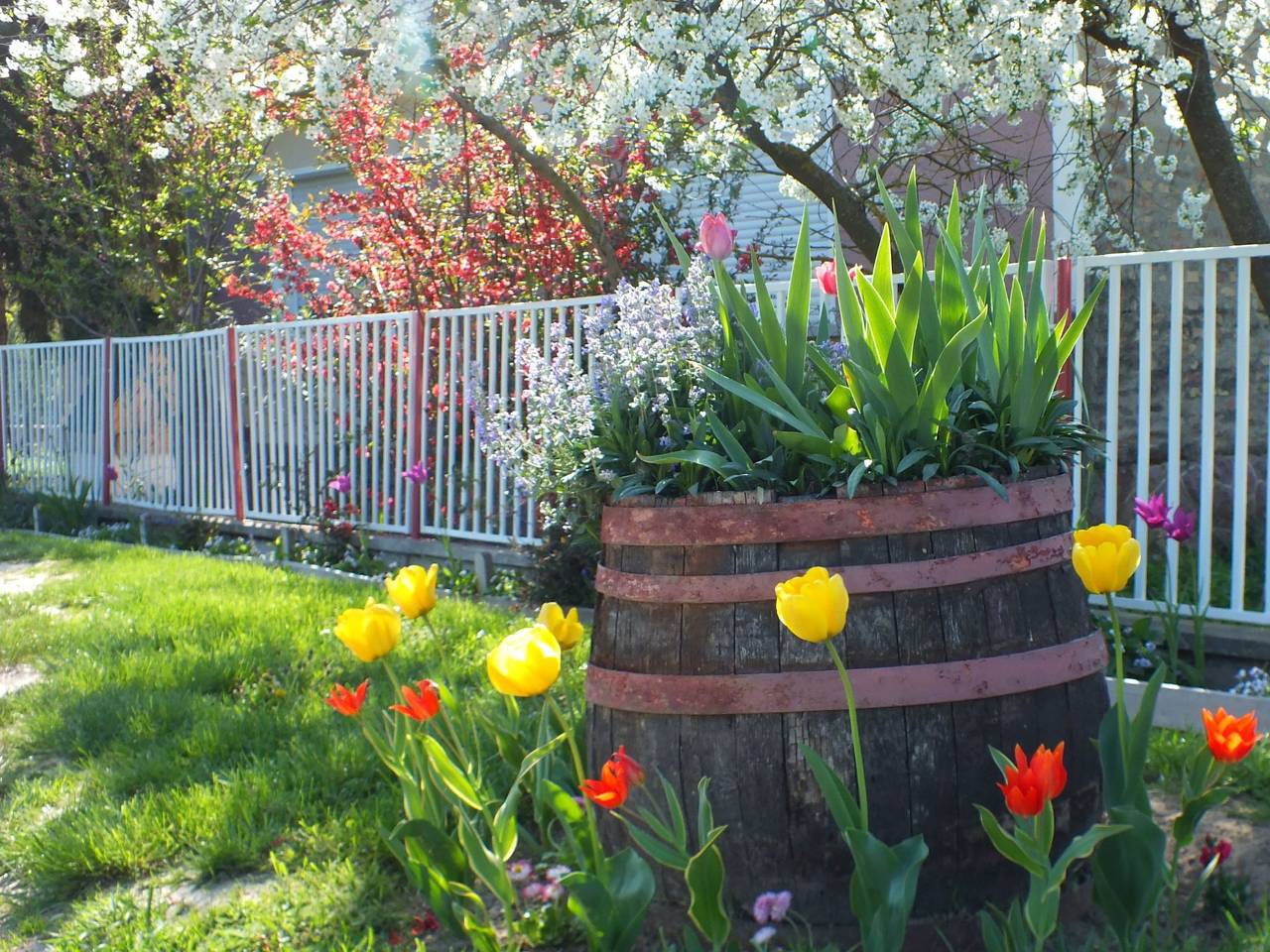 In Döbrököz mit privatem Pool in Döbrököz, Komitat Tolnau