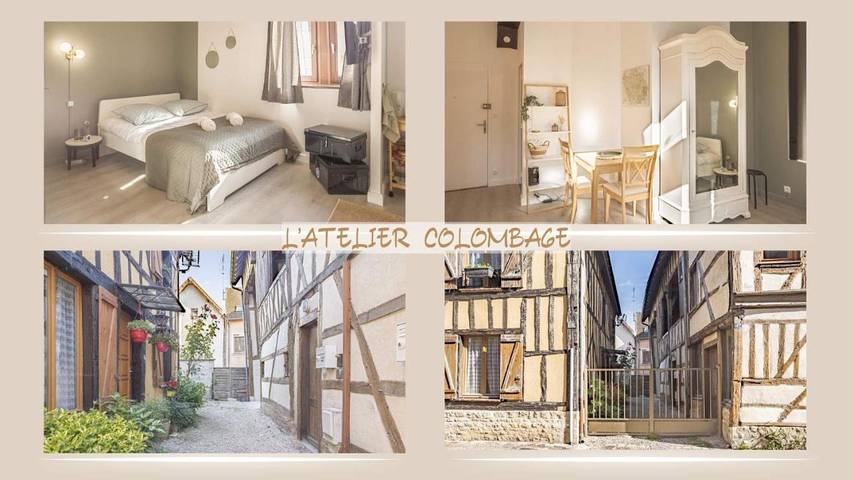 Gîte pour 2 personnes, animaux acceptés à Bar-sur-Seine - 2