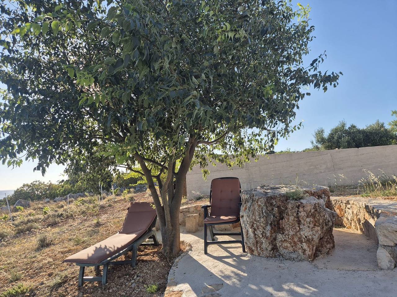 Robinson-Tourismus mit schöner Aussicht in Primošten, Šibenik-Knin