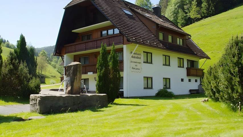 Ferienwohnung für 4 Personen, mit Garten und Sauna, mit Haustier in Bad Rippoldsau-Schapbach