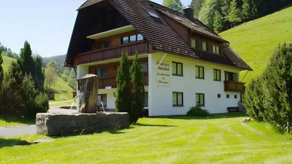 Ferienwohnung für 4 Personen, mit Garten und Sauna, mit Haustier in Bad Rippoldsau-Schapbach
