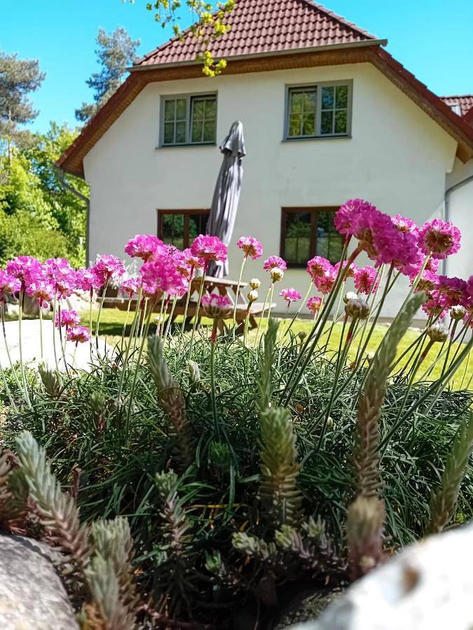 Ferienwohnung für 2 Personen, mit Garten in Steffenshagen - 4