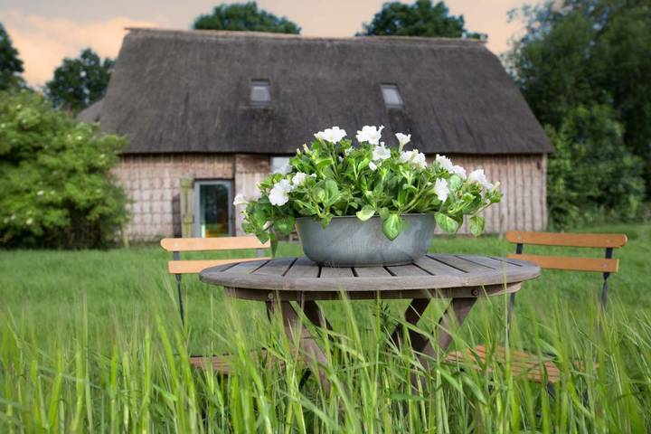 Ferienhaus für 2 Personen, mit Terrasse und Garten in Bourtanger Moor