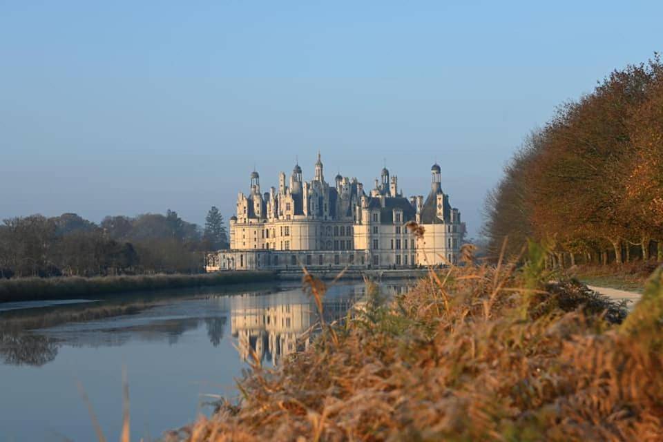 Hôtel Le Verger in Saint-Laurent-Nouan, Sologne