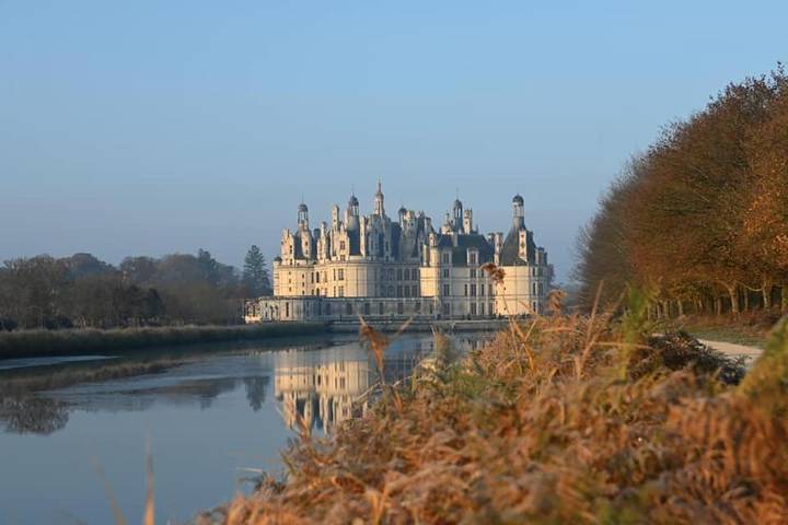 Hôtel pour 5 personnes, avec jardin à Saint-Laurent-Nouan - 4