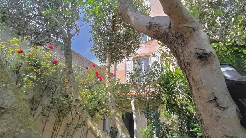 Chambre d’hôte pour 2 personnes, avec terrasse ainsi que jardin et vue dans l' Aude - 2