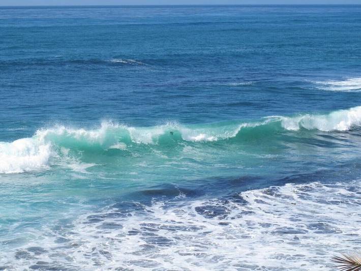 Vacation rental for 8 people, with yard and pool in La Jolla