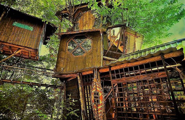 Cabane dans les arbres pour 6 personnes, avec terrasse ainsi que sauna et piscine dans l' Hérault - 2