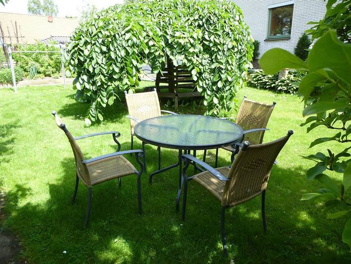 Ganze Ferienwohnung, Fw Libelle, Dusche, Wc, 2 Schlafräume in Winsen (Aller), Aller-Leine-Tal
