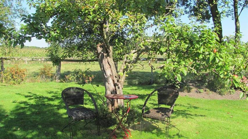 Ferienwohnung für 2 Personen, mit Terrasse, mit Haustier in Ammerland - 3