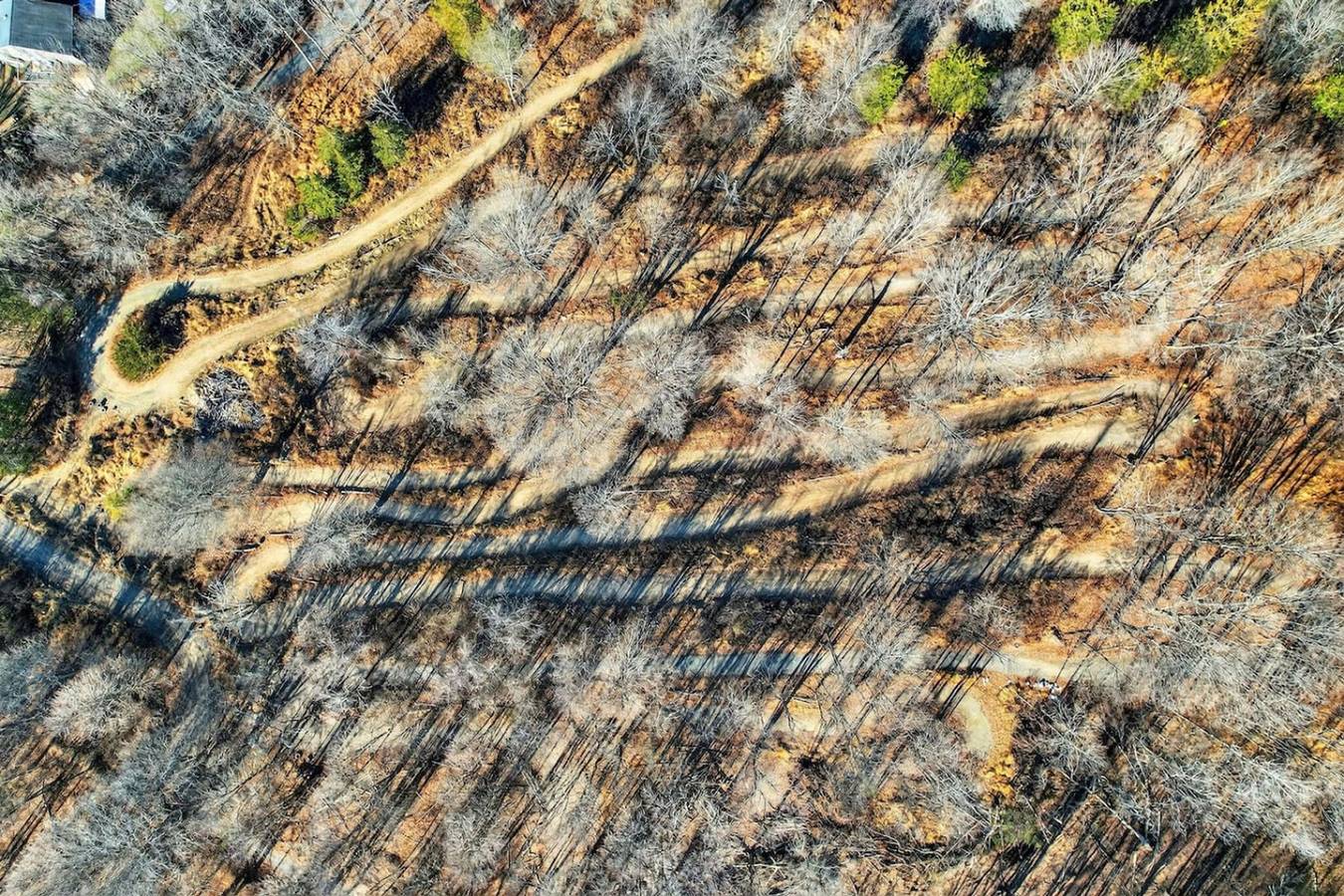 Apartamento entero, Boutique King Suite at Orchard Lake | Private Farm in Condado de Orange (NY)