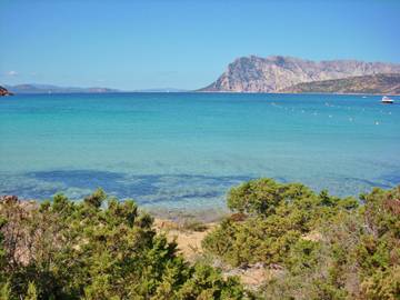 Ferienwohnung für 6 Personen in Budoni, Olbia-Tempio, Bild 4