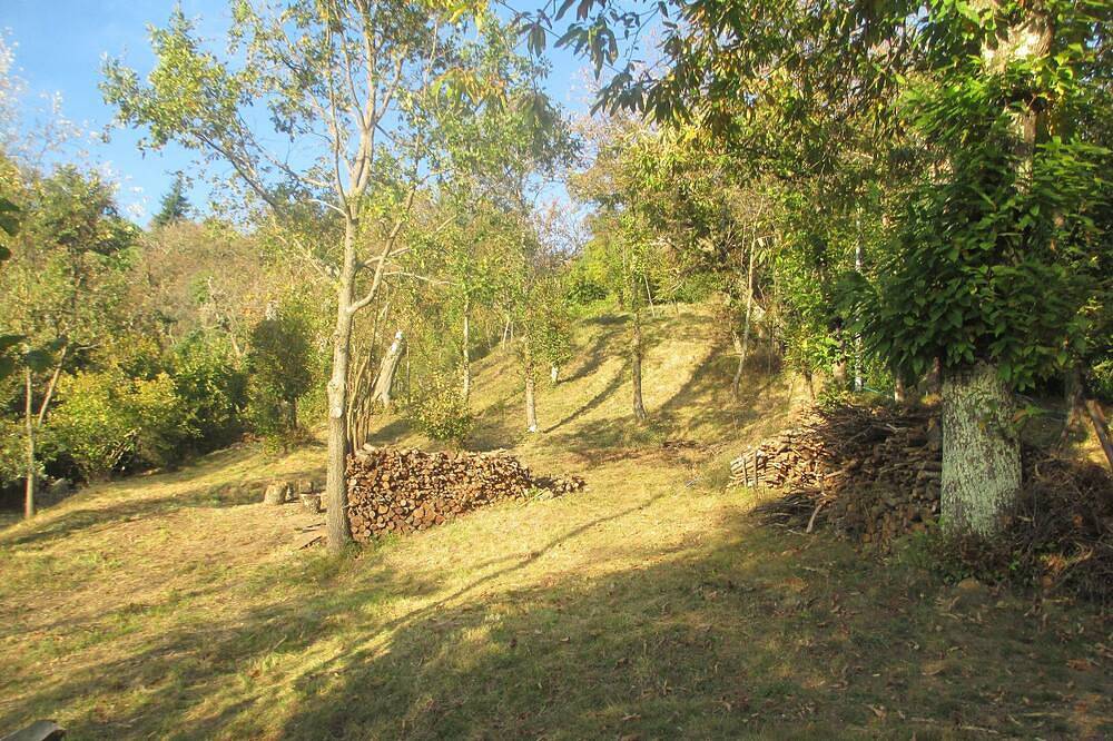 Cottage im alten Kastanienhain in Castiglione di Garfagnana, Garfagnana
