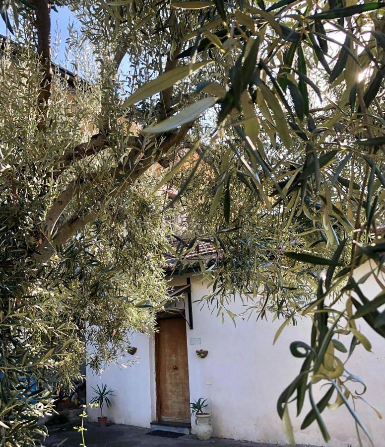 Casa Vacanza L'ulivo in Paternò, Catania e dintorni