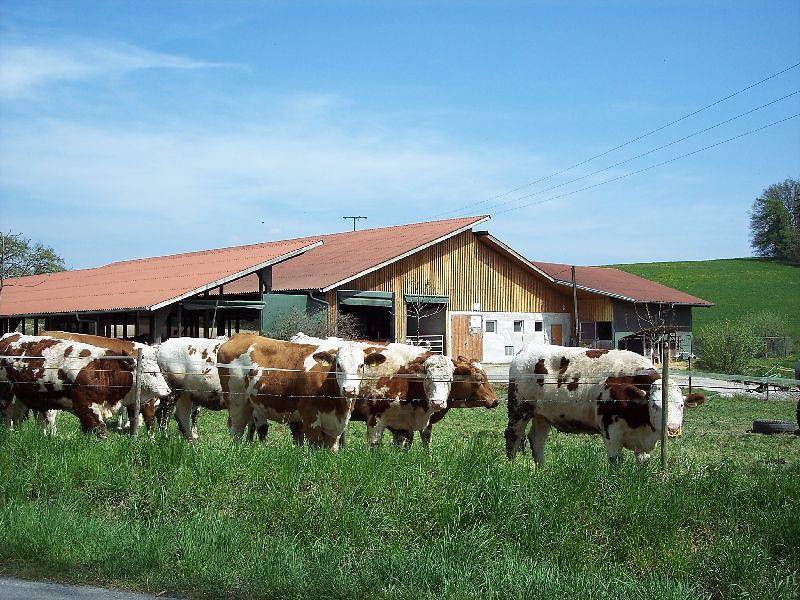 Bauernhof Längle - Ferienwohnung Längle, 70qm, 2 Schlafzimmer, max. 5 Personen in Überlingen, Region Bodensee-Oberschwaben