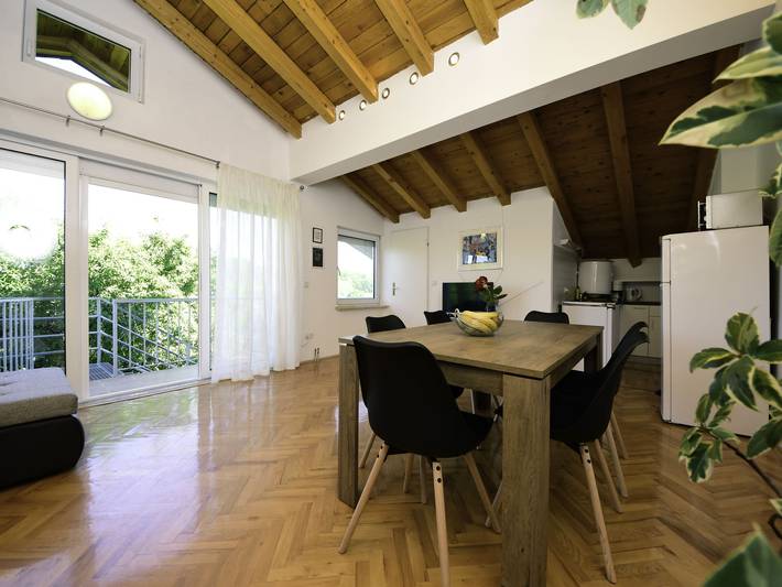Ganze Wohnung, Anica in Pridraga, Donji Karin